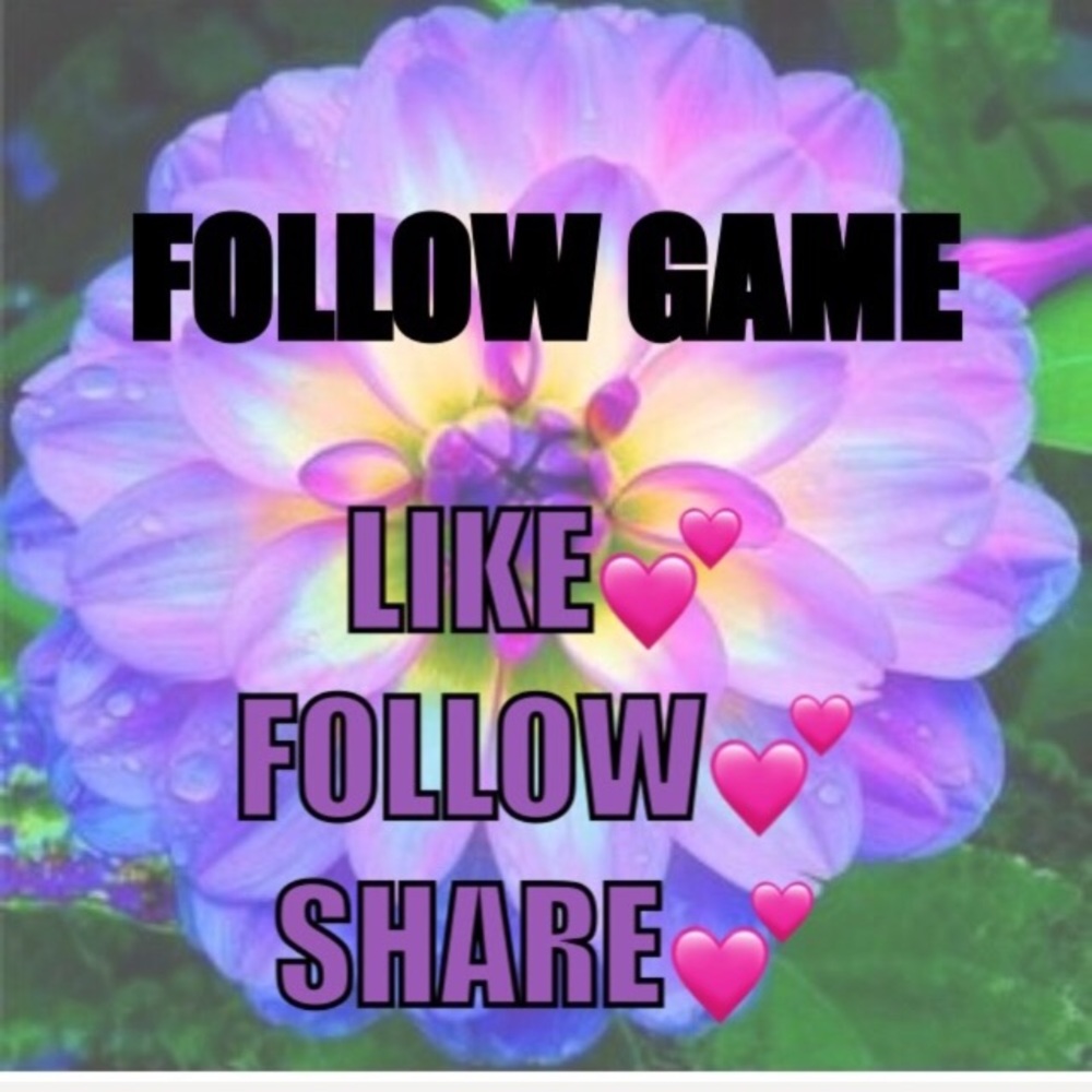 Please follow my new follow game 🌺💕 - Picture 1 of 1